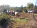 four legged mowers 002.jpg